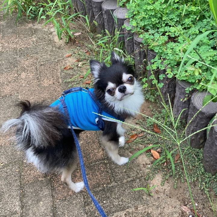 Ce78148f 2388 40e0 8023 e582690c761a 1694964292339