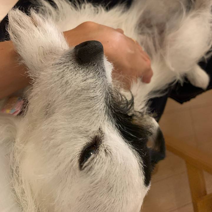 Ce78155e 3887 4ffa b0ea 72bcf83d3caa 1655729822206