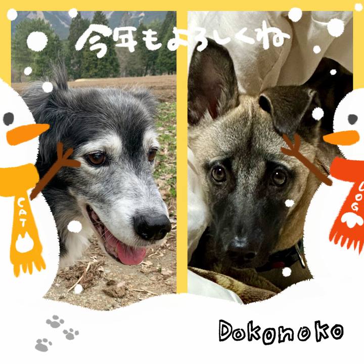 Ce78202c 369b 4fc4 adf8 9294740bc6a8 1704245390225