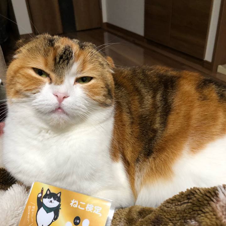 Ce782899 bc35 4e7d b933 68dee8a69cbb 1608374918321