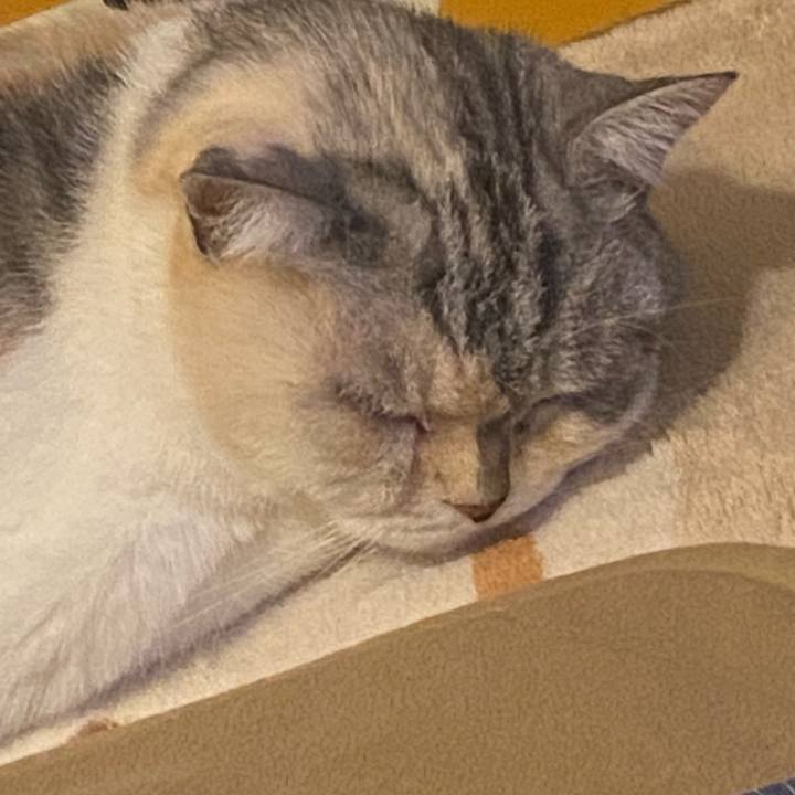 Ce7832bd e825 4be2 bac0 8a258c0e9882 1732274171306