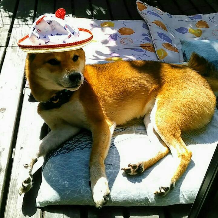 Ce7841c4 f520 4238 9f26 1759ffda2ba8 1540000085120