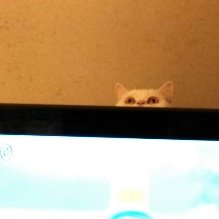 Ce784dfa de8a 4c77 8606 354e899f3015 1510047695239