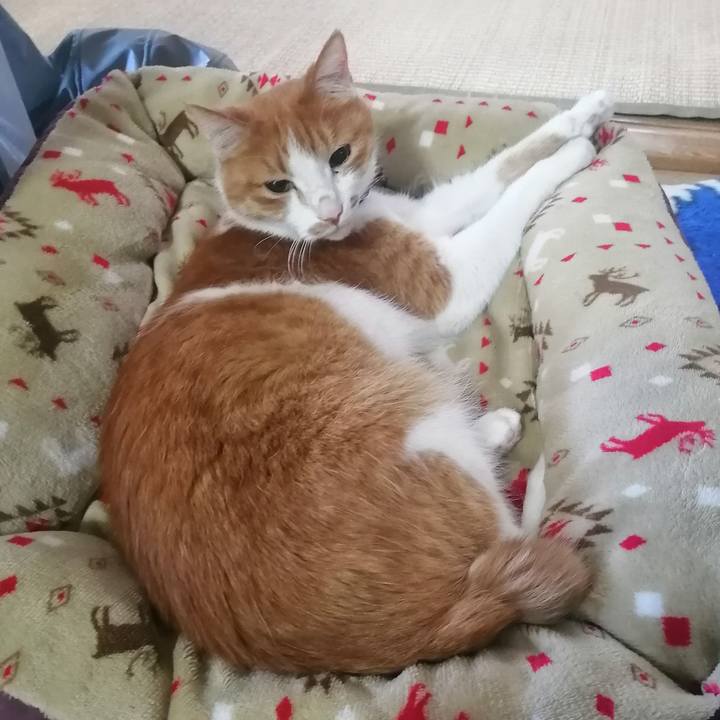 Ce7888f7 21ef 4d4a 819f 8cac11187c36 1622240025738