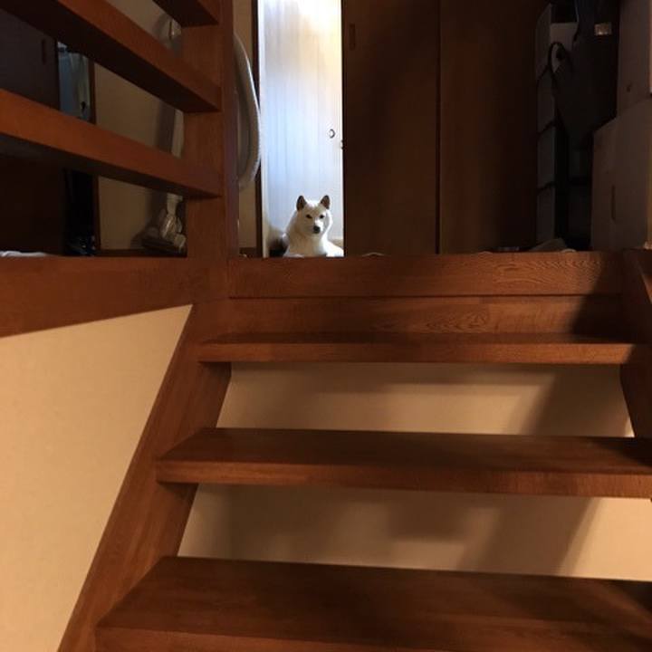 Ce78ad05 f414 42fd ab52 63e7fb0db52c 1647314815536