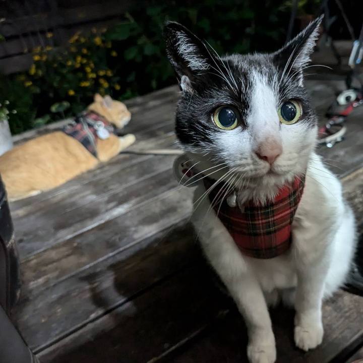 Ce78f7c2 2720 4355 bd0b 4cc90d531cf1 1724928166939