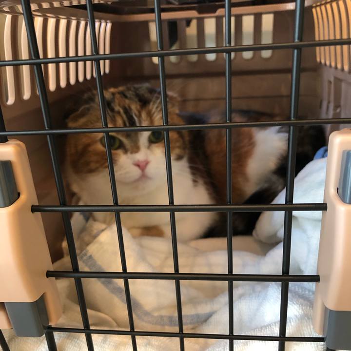 Ce79238f 5532 4acb b51a ed5074ef55b4 1576311329242