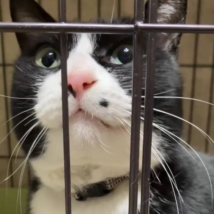 Ce793661 9bd3 4ba3 8716 4e262ebea293 1741081119450