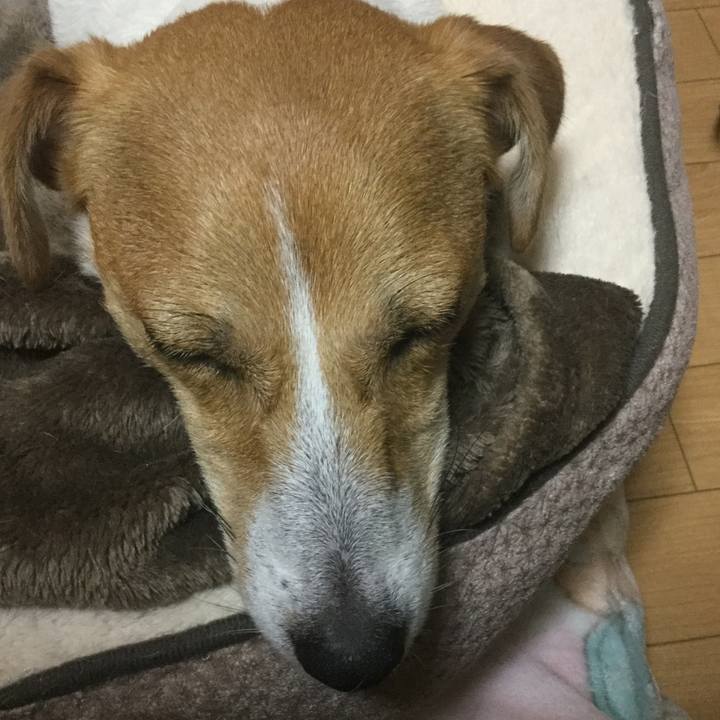 Ce794891 e476 4fd6 acf2 5cfa235467ef 1540469966829