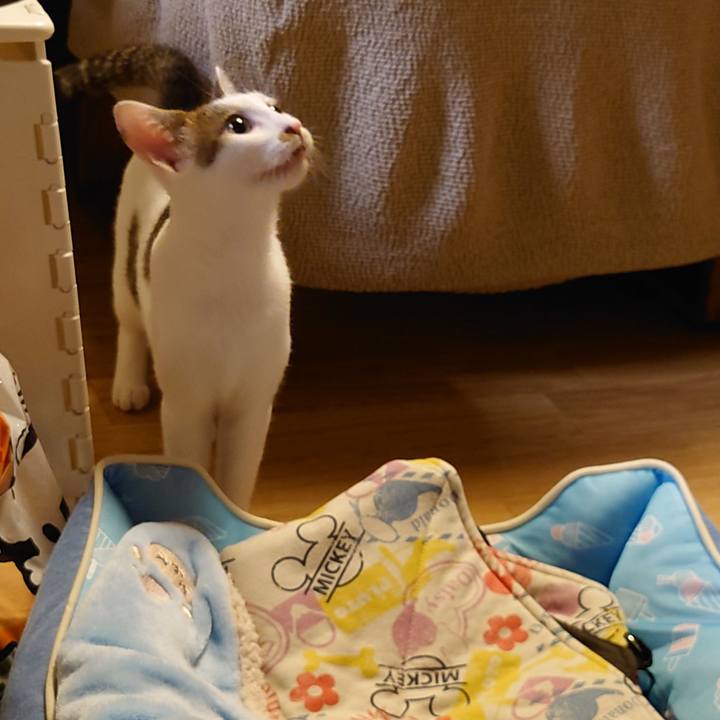 Ce79848c 14c7 4b06 a702 0a6b34c2ca21 1690980024544