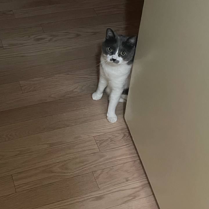 Ce7993ff 8b28 42dc ac59 9c27b1a5469e 1687268416819