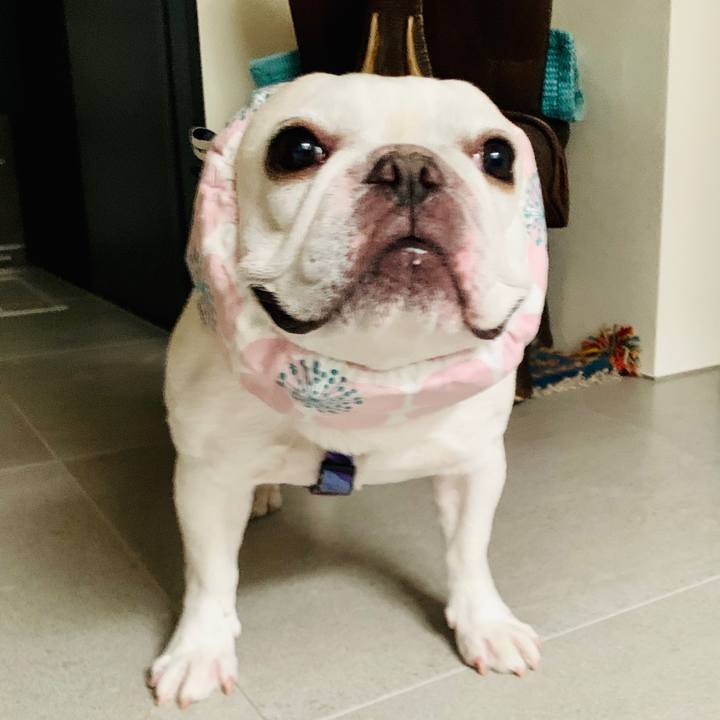 Ce79a94f 7600 4598 bf65 ed758e105560 1592361345940