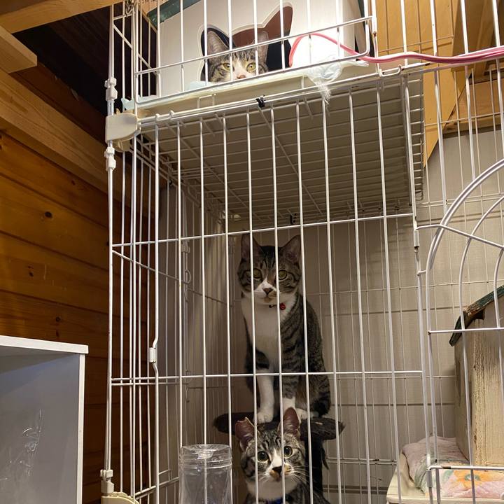 Ce79e5dc 1476 4a5a 8bee cb6b4ab71b5a 1707029117525