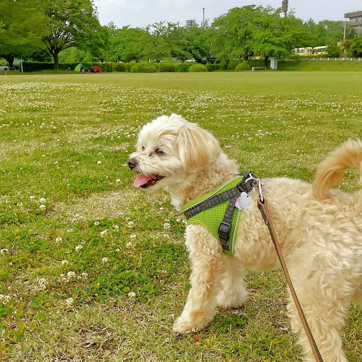 Ce79efae 453d 4580 8f26 06519ffb44e7 1588574040597