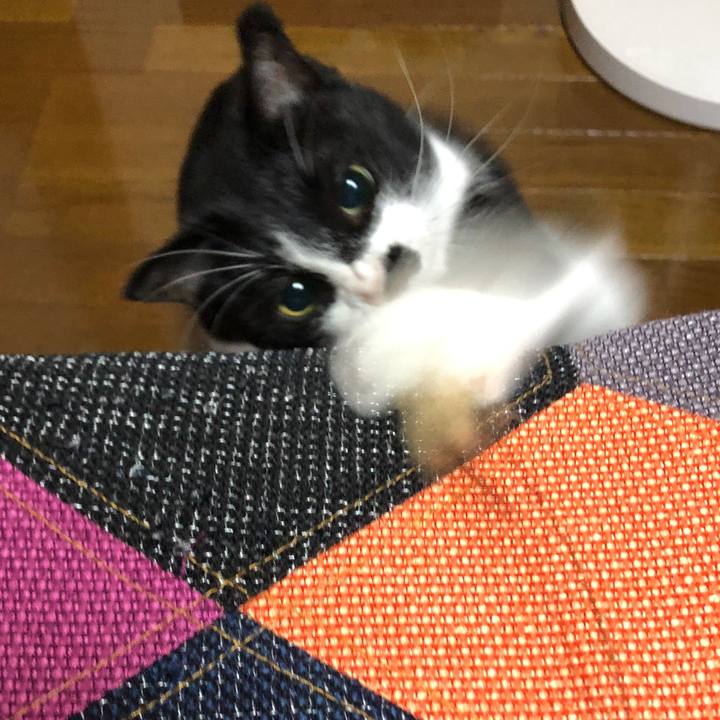 Ce79f719 c007 495e ad9d e427af4b2825 1538290181225