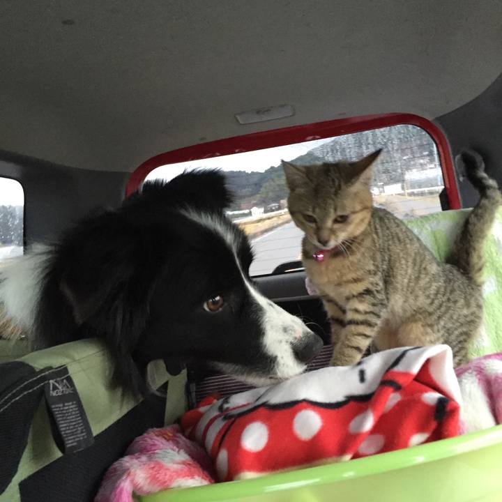 Ce79f927 395b 4145 ae3c cd832d433aad 1515369048142