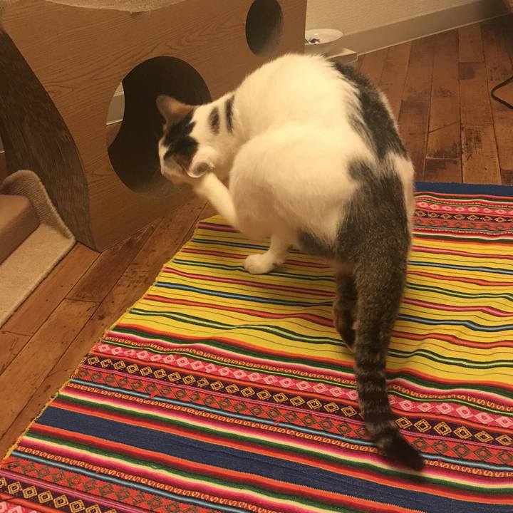 Ce7a1a86 57ad 4c4f 92f9 b0253ff60940 1531282646740