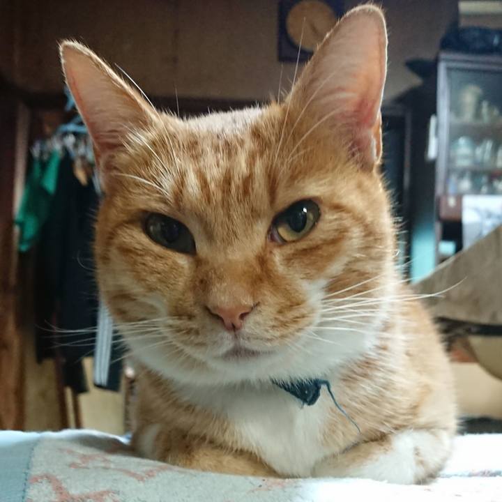 Ce7a1c0c e974 4152 bc2f ea16a048de81 1602923915746