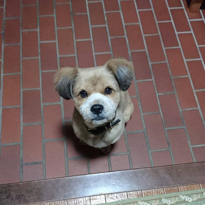 Ce7a8243 1f5d 464f 84e1 5bd0ced33e25 1525950299709