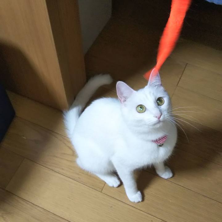 Ce7abf34 81e0 41d3 827d 9cb3852a0d64 1624624123939