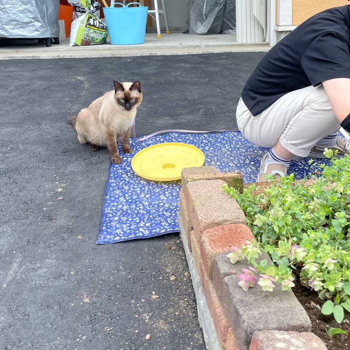 Ce7ad8d4 9b98 4b28 8d2b 971b54595918 1726381554371