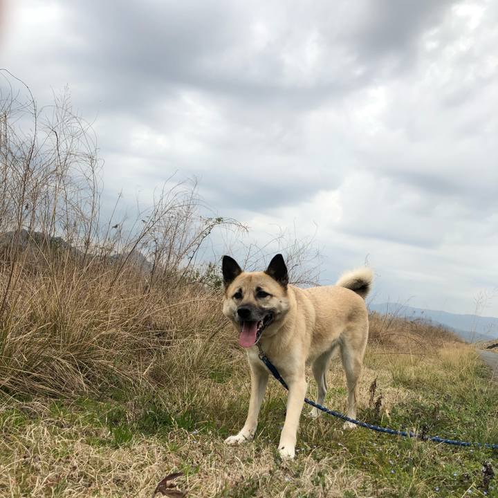 Ce7aec0f ee6b 4a21 8576 c607d873a4bc 1584863007027