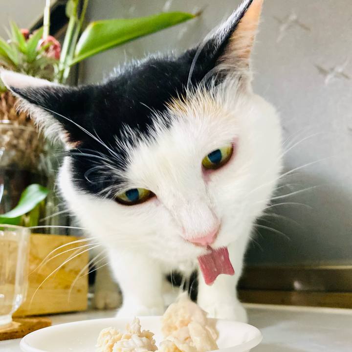 Ce7b163c 3335 40aa a0b1 0183a3064f0e 1688989763776