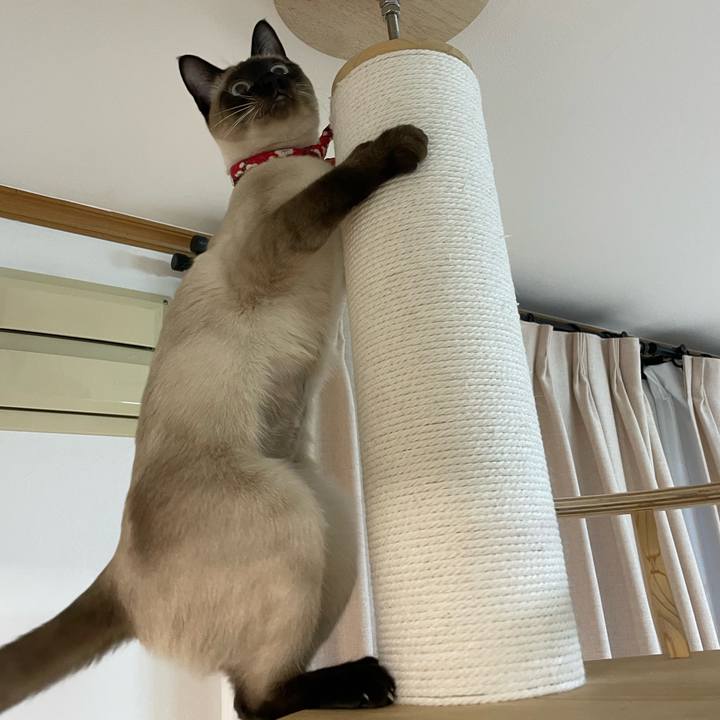 Ce7b45c3 52e3 4b0a bae3 192b92c323ee 1710622252418