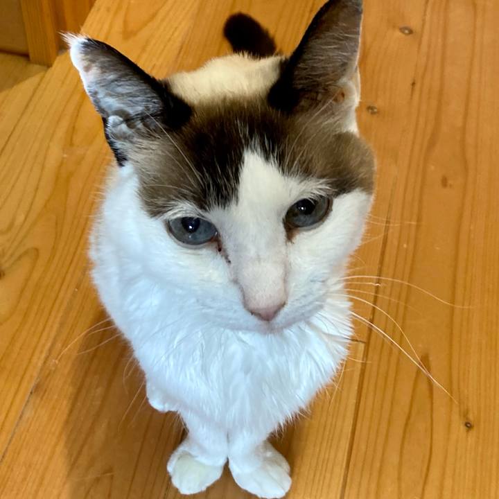 Ce7b4d60 ad76 4064 9d85 7a7868e81d64 1678448536768