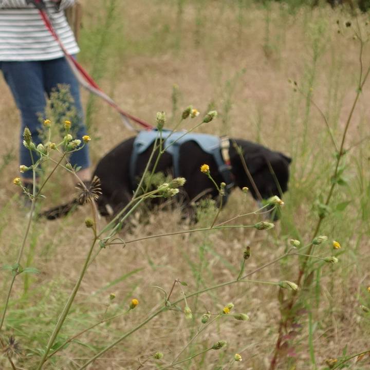 Ce7b5cd5 0d0e 4b7b b137 207f360183fc 1729381278776