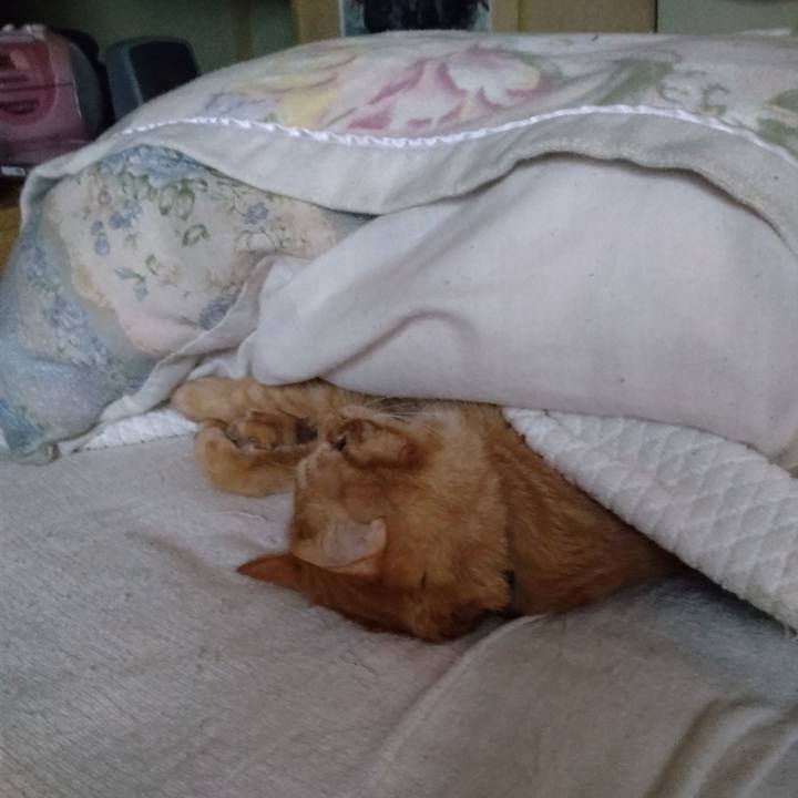 Ce7b8295 845a 4666 885b a7285925c951 1674370429906