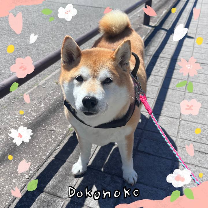 Ce7b97f4 3501 4366 8273 a05b406e356b 1711195257766