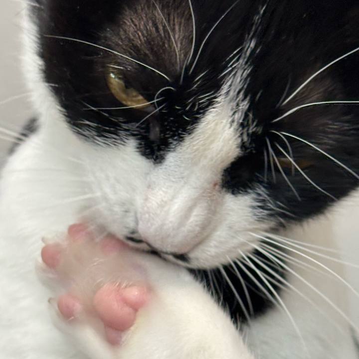 Ce7bafdb a150 4ade a2f4 48ba1c2a6666 1773454120468