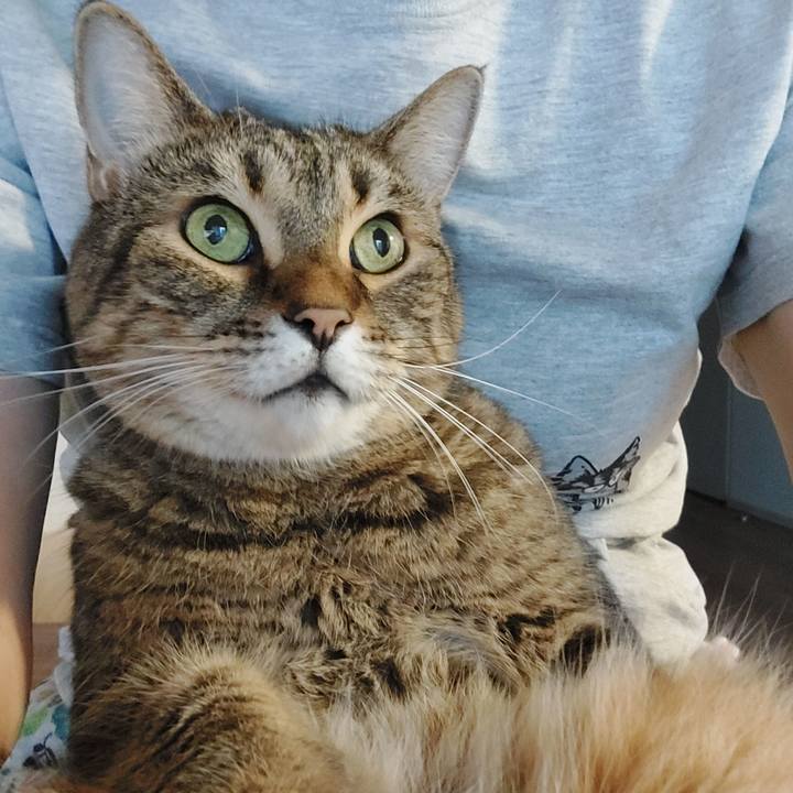 Ce7be668 98f5 43b7 91cc ea91a0fabfc8 1659564228238