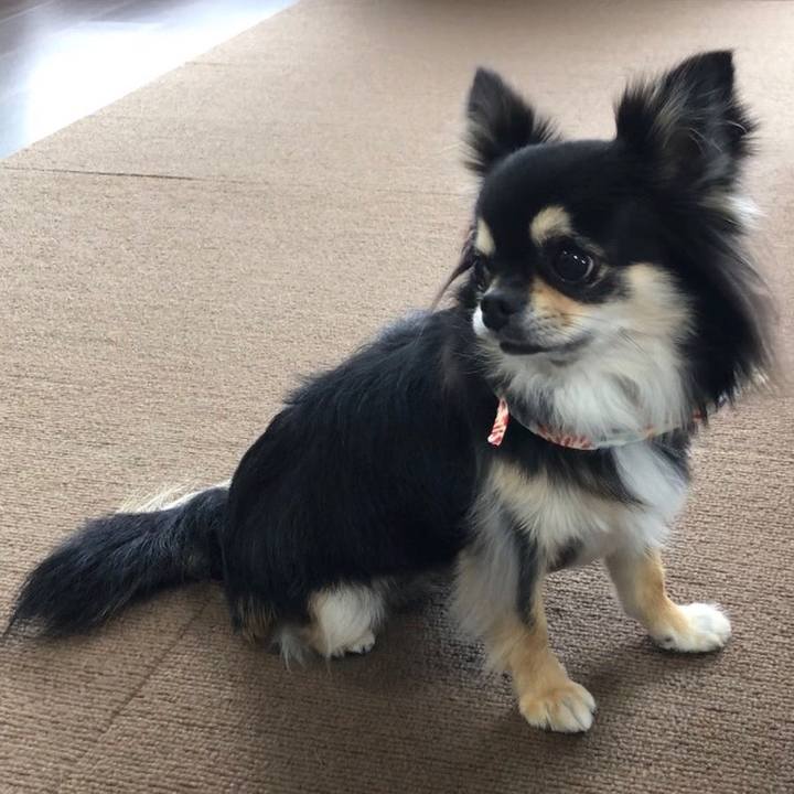 Ce7bf4d0 9a4c 4fcf 9d13 a0464b5c4c70 1595511255227