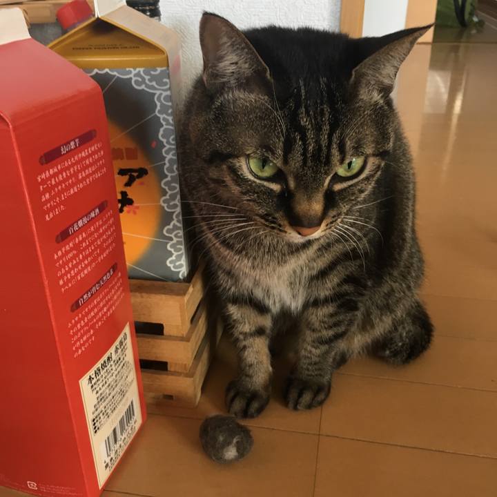 Ce7c05bf 49e7 4340 8429 d5792fcebc6f 1553057876036