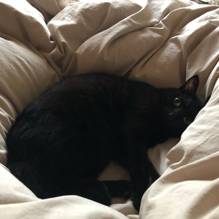 Ce7c1626 4ffb 43c7 8222 db700390dbb9 1572992808593