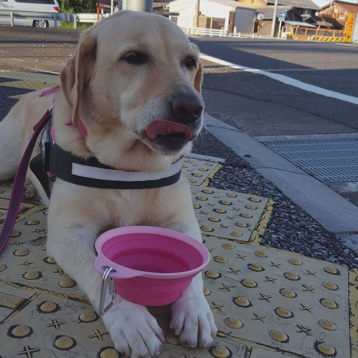 Ce7c2785 4255 4469 b78a f4e2b6ec49e0 1568246659402