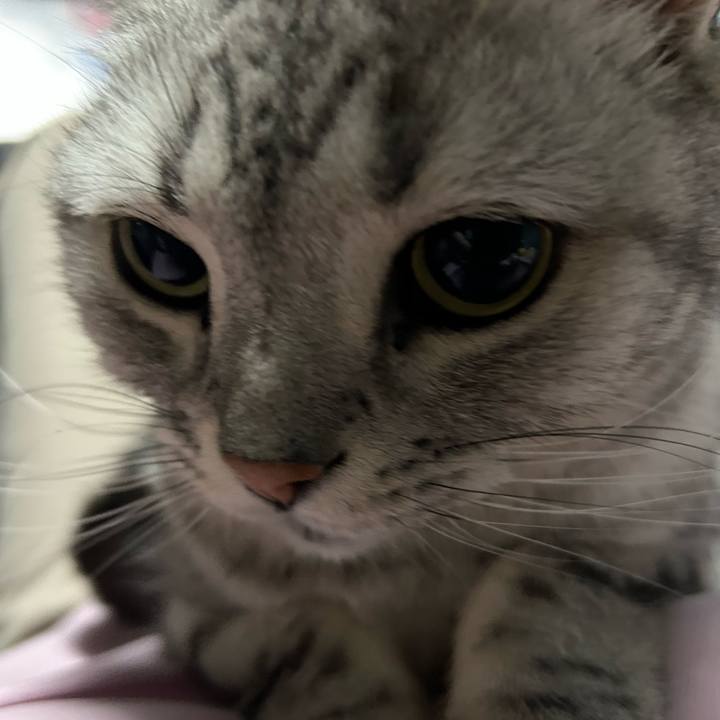 Ce7c2d40 3d74 4263 813b 8fdcecd7169d 1684837159166