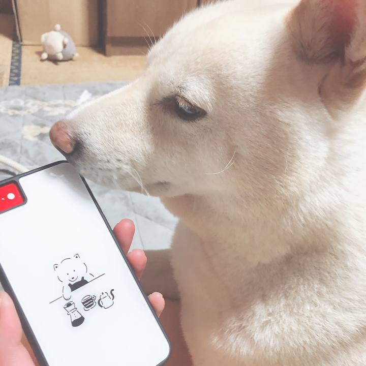 Ce7c3ee3 e1cb 4e0c b369 df47c2d72afc 1614682846699