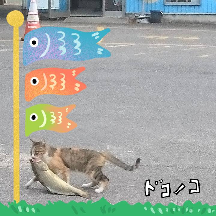 Ce7c74ae 8247 446f bd89 023c0a34280b 1714977751595
