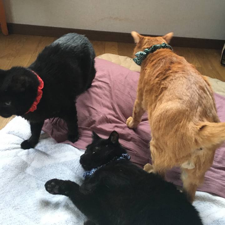 Ce7c755e 5eaa 4fb2 a30a 90f8d521730c 1548543178617