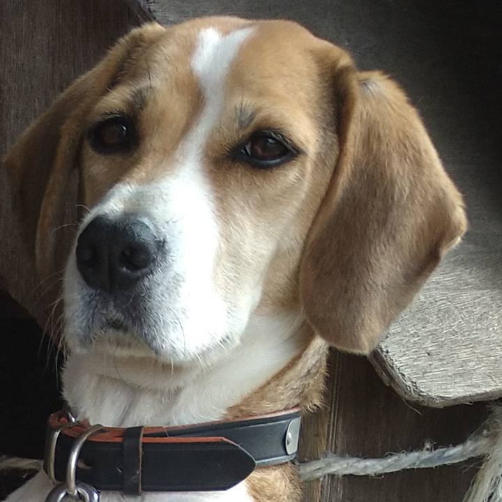 Ce7caff6 c3e9 4413 a4b9 84c2a2e7748e 1639442144714