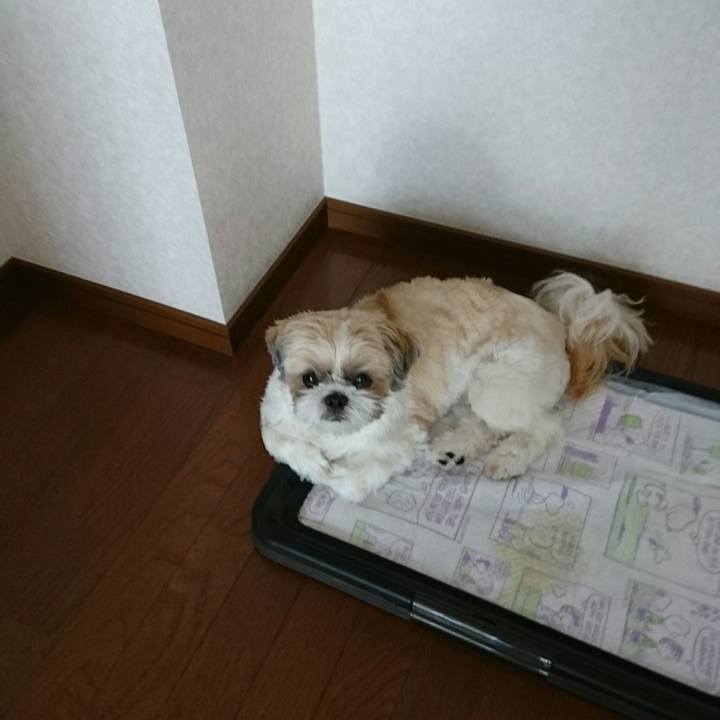 Ce7cbaf3 adca 46e1 9612 c7d4bc3421ef 1533877839548