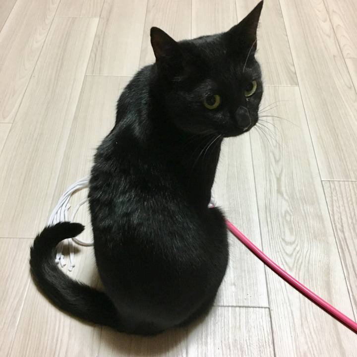 Ce7d00c6 e087 4731 9f1d 30b8580f7d45 1519303627933