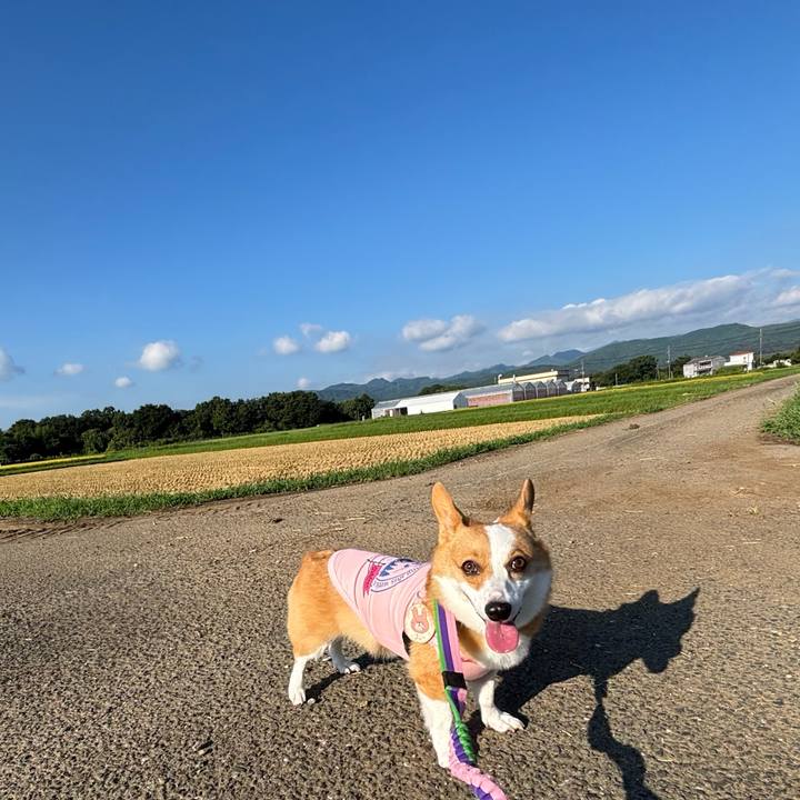 Ce7d346d 692b 4d37 908b 0d867d6d5fdd 1757217145878