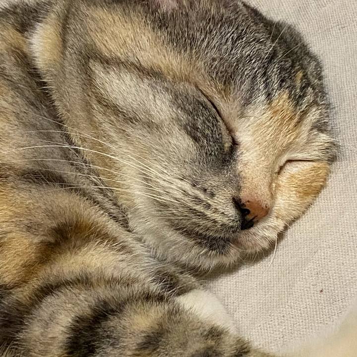 Ce7d4129 f384 4e21 86d8 de81b697159b 1624710849816