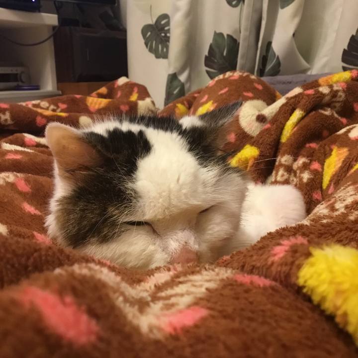 Ce7d6ffa d966 40a5 be16 c6f4d9f6bb70 1585929246082