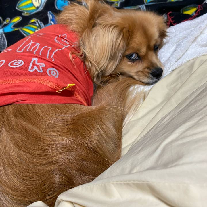 Ce7d8795 ca2e 4c97 ab02 3e28f3f07fda 1578958234534