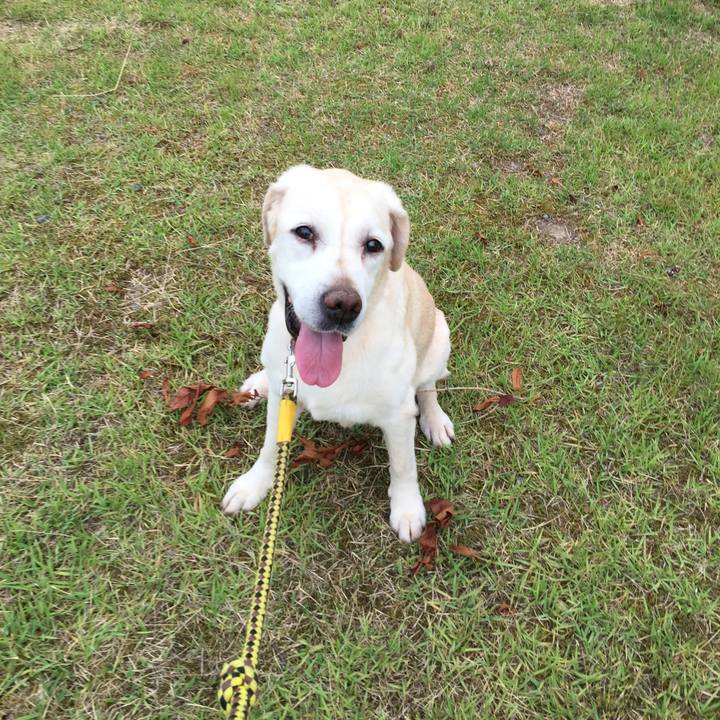 Ce7dab53 9089 4690 9ac1 64889a76016b 1530613184718